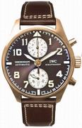 IWC Pilot's Watch Chronograph Edition Antoine De Saint Exupery IW387805